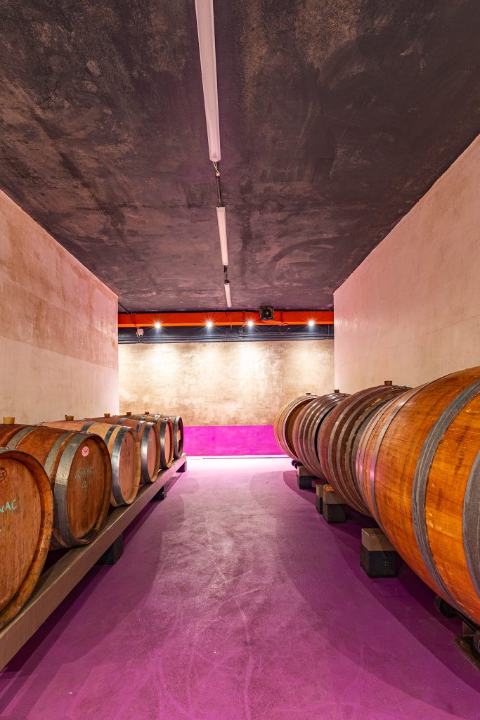 Wnetourcroatia garage winery10